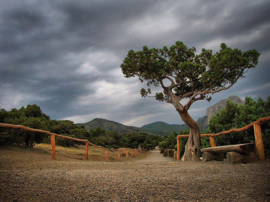 , Владимир Точаненко