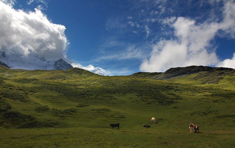 Альпы фото превью