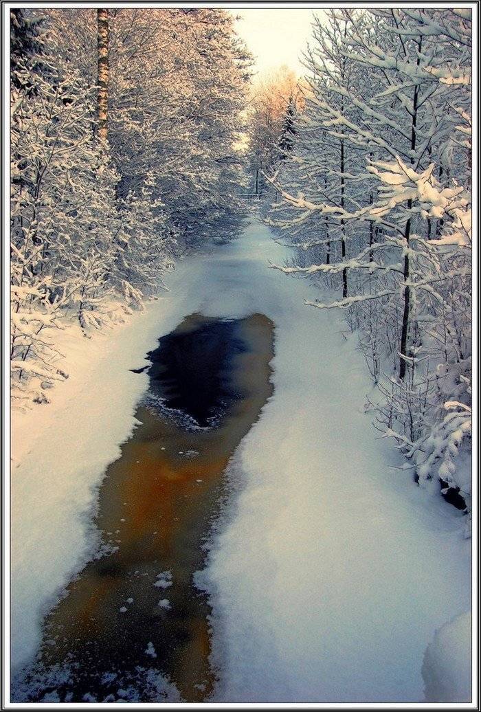 , Елена