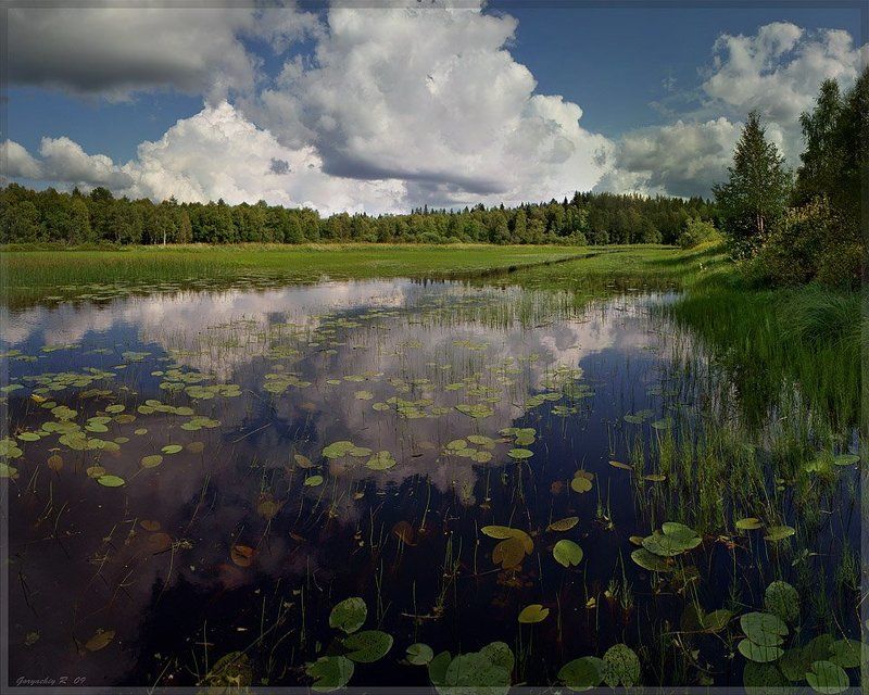 протока фото превью