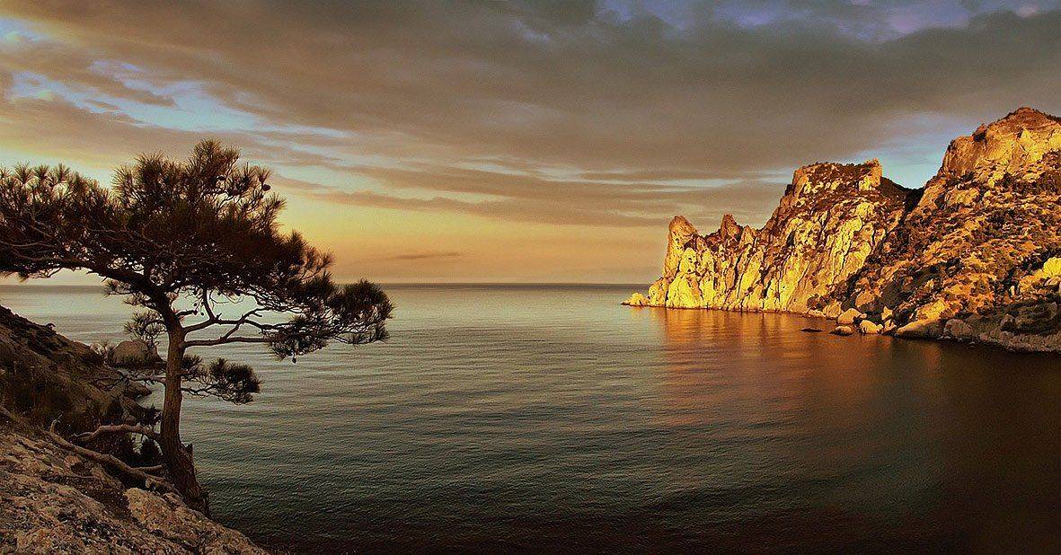 , Владимир Точаненко