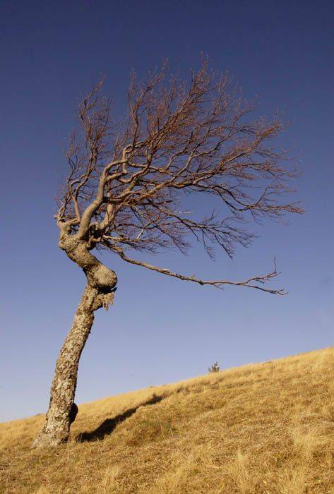 , Юрий Охлопков