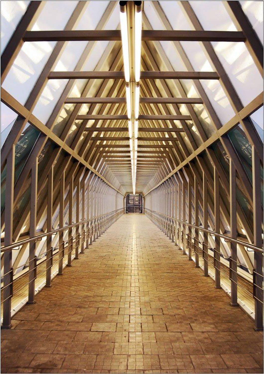 , Срибный Евгений