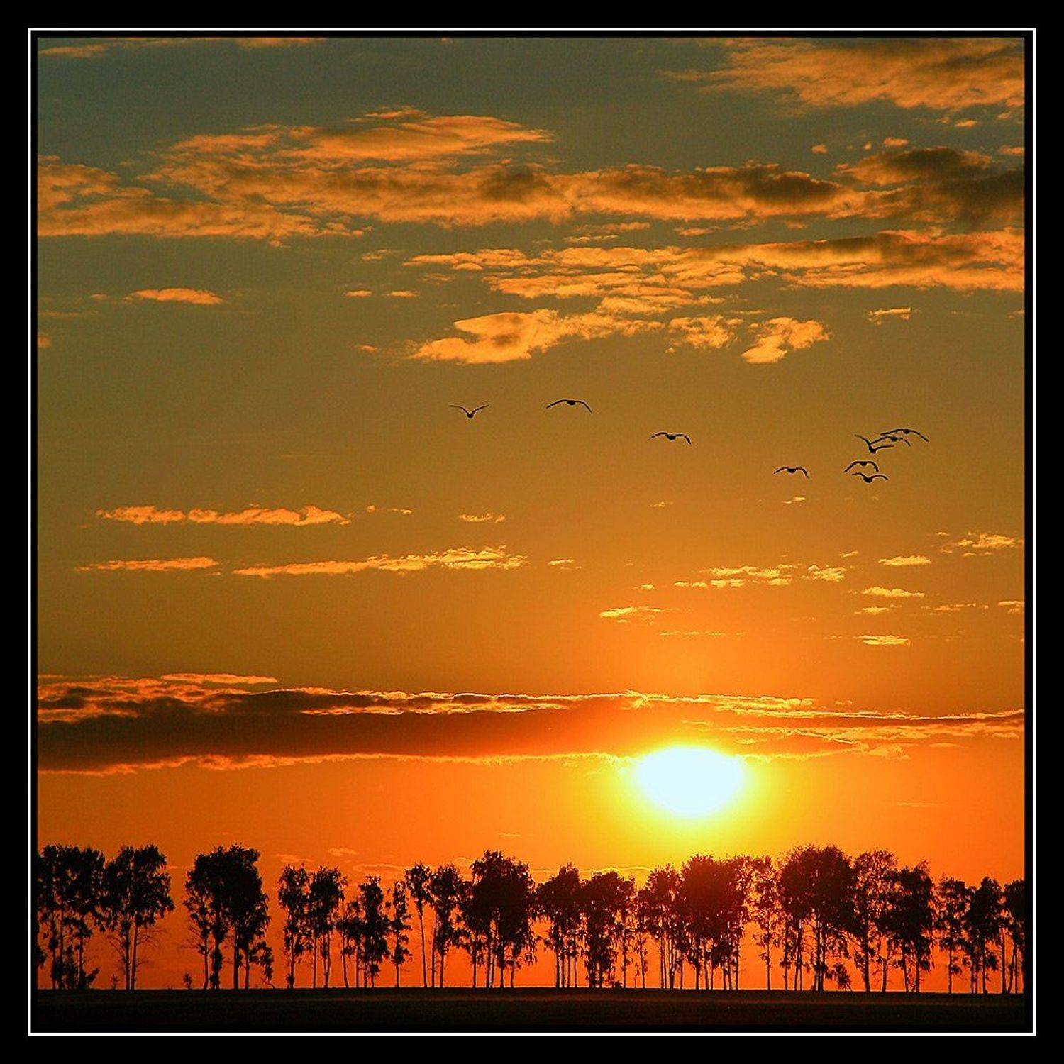 закат, Евгений ПЛИШКИН