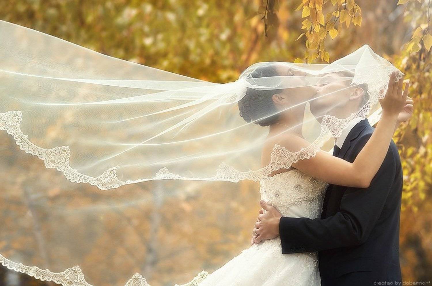 , Денис Богомолов