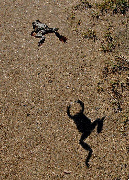 , Максим Юлдашев