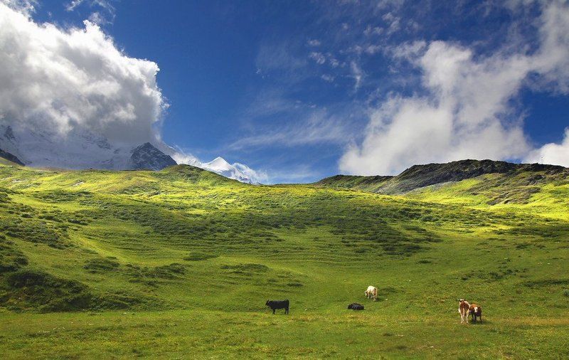 А-ля Windows фото превью