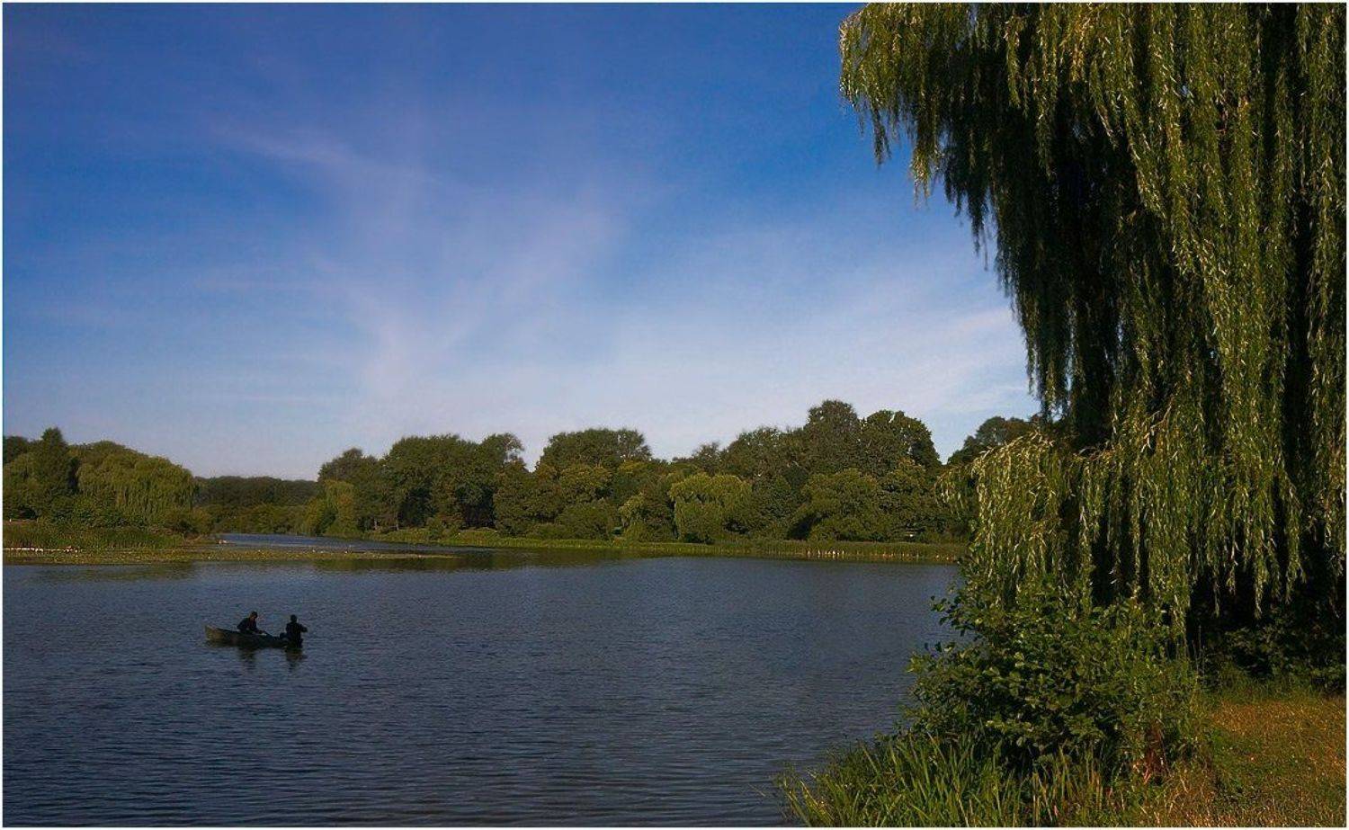 , Игорь Шевченко