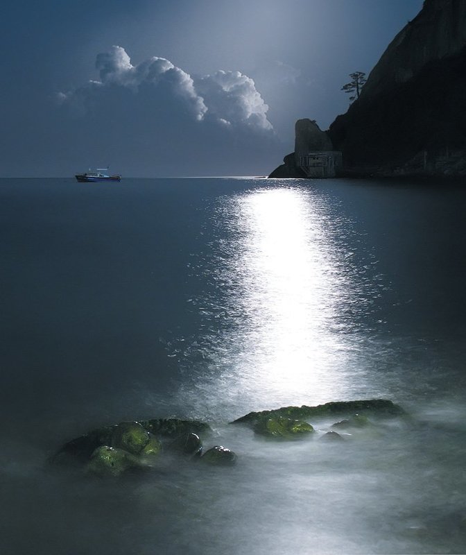 Scenes From A Night\'s Dreams фото превью