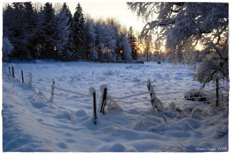 швеция,зима,снег,пейзаж,природа За околицей фото превью