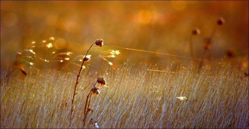 Притяжение фото превью