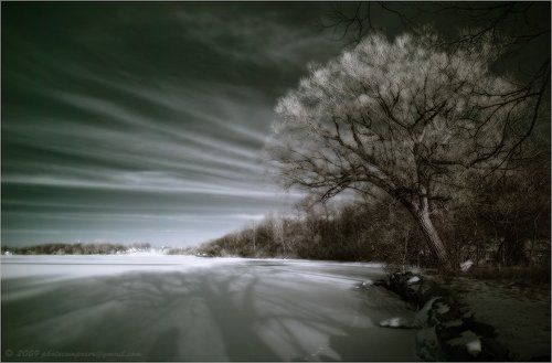 The Day before Christmas