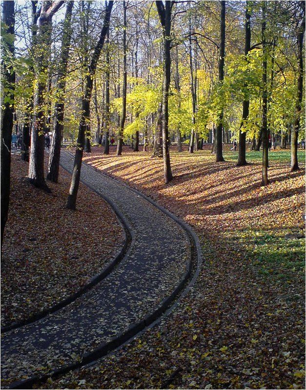 про осенний день фото превью