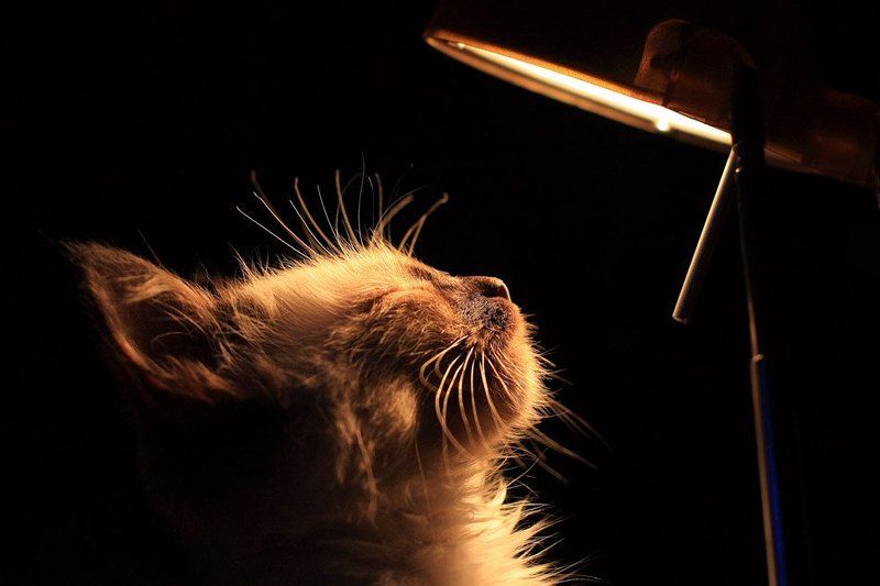 тепло... фото превью