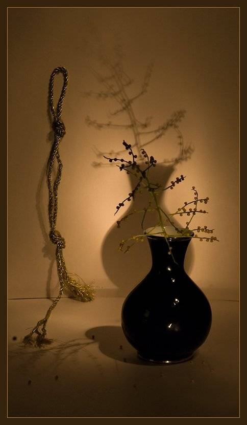 ваза,ветка,шнур, Ольга Новикова
