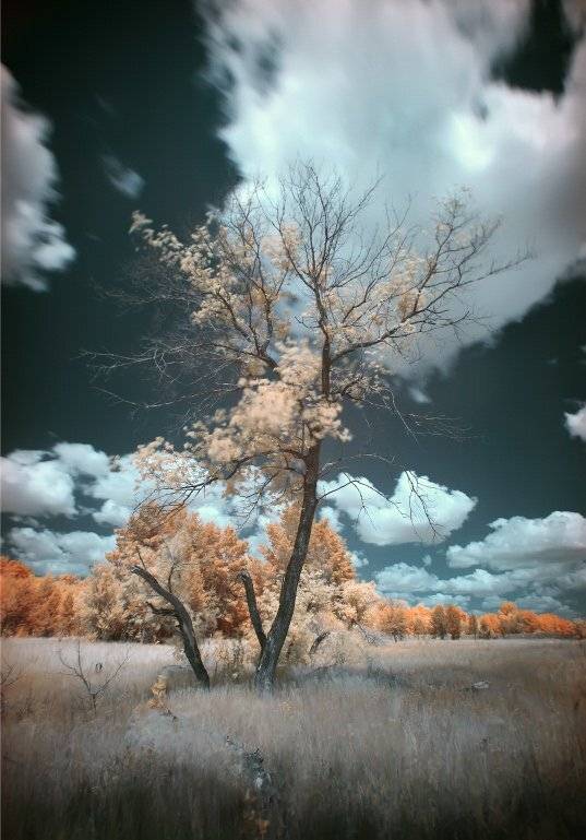 ir,ик, Эдуард VTORNIK  Николаев