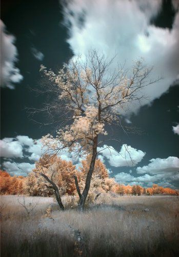 IR
