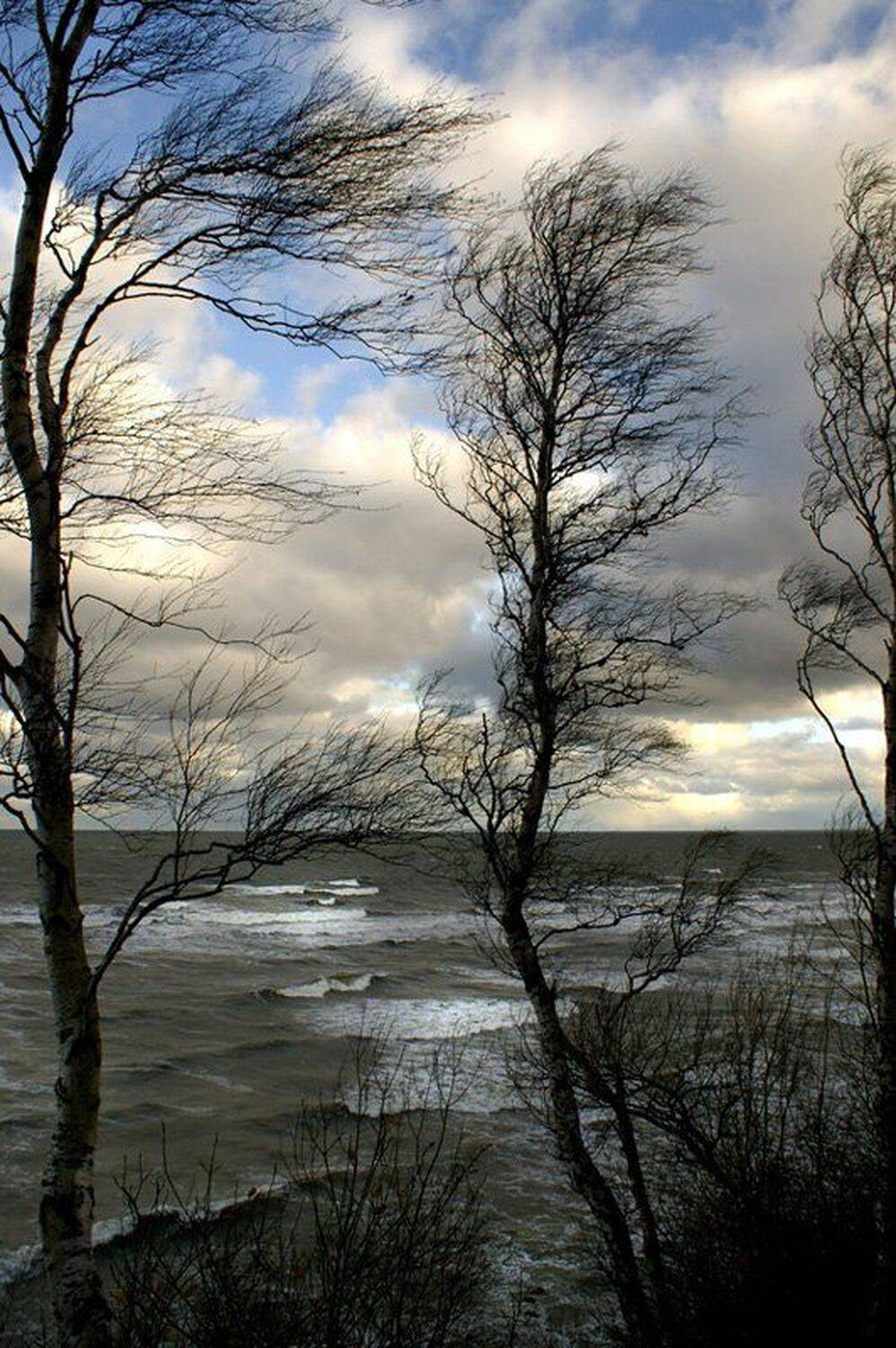 ветер, балтийское, море, светлогорск, калининградская, область, зима, обрыв, mariavgorskaya