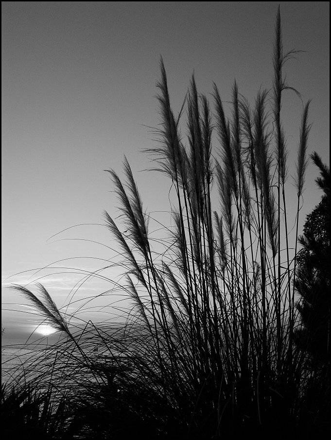 вечер, зима, декабрь, закат, море, сочи, Лодочник