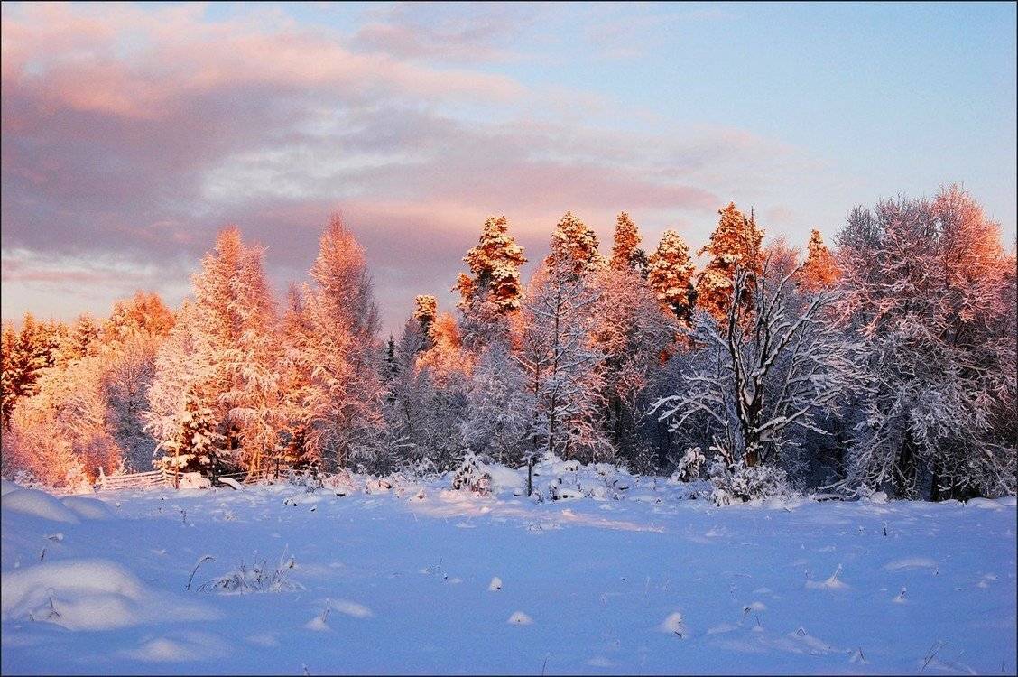 , Елена