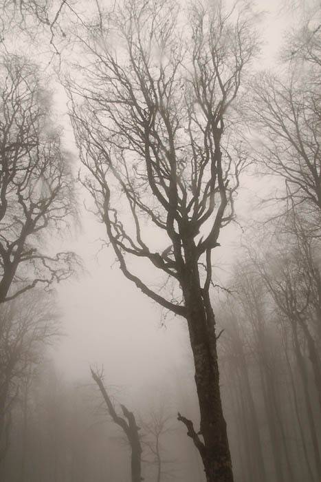 , Юрий Охлопков