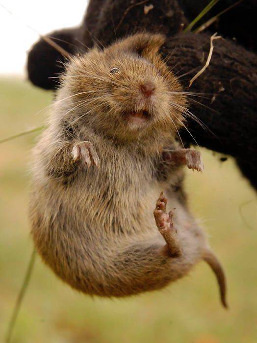 , Юрий Охлопков