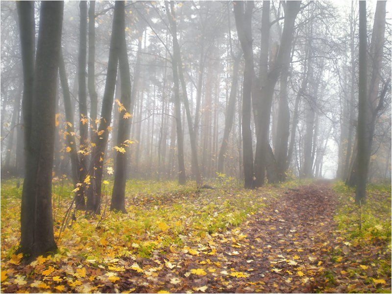 осень, усадьба, суханово Октябрь. Усадьба Суханово. фото превью