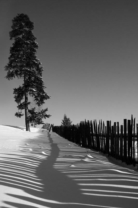 , Васенин Валерий