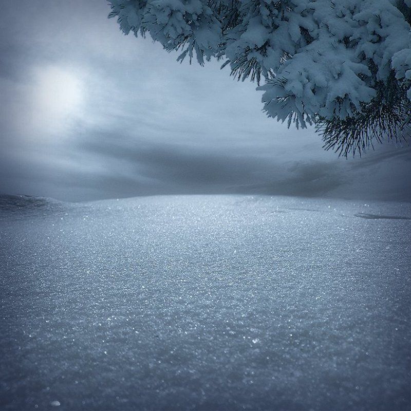 Зимняя сказка. фото превью