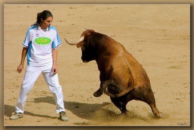 Выдержка фото превью