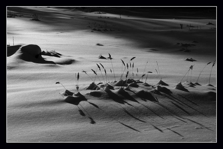 , Васенин Валерий