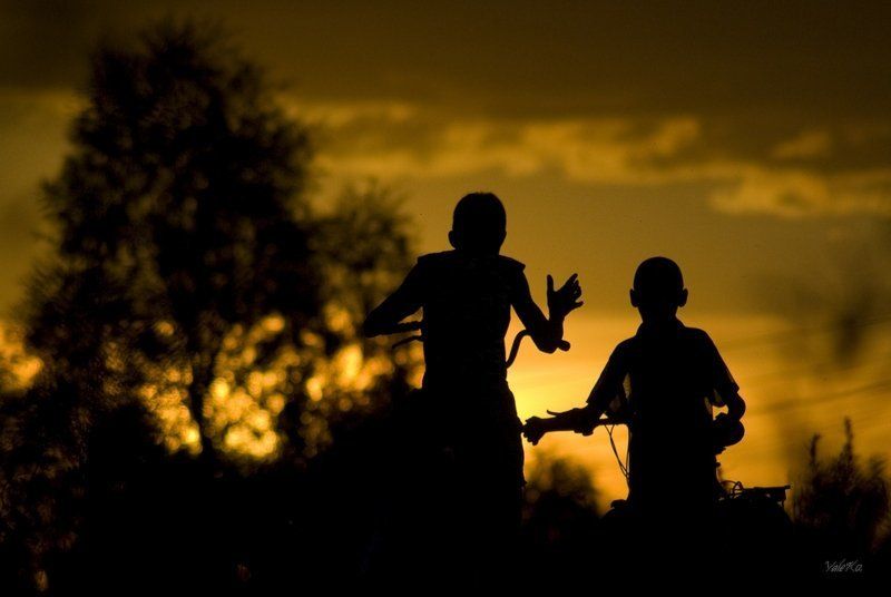 Когда деревья были большими. фото превью