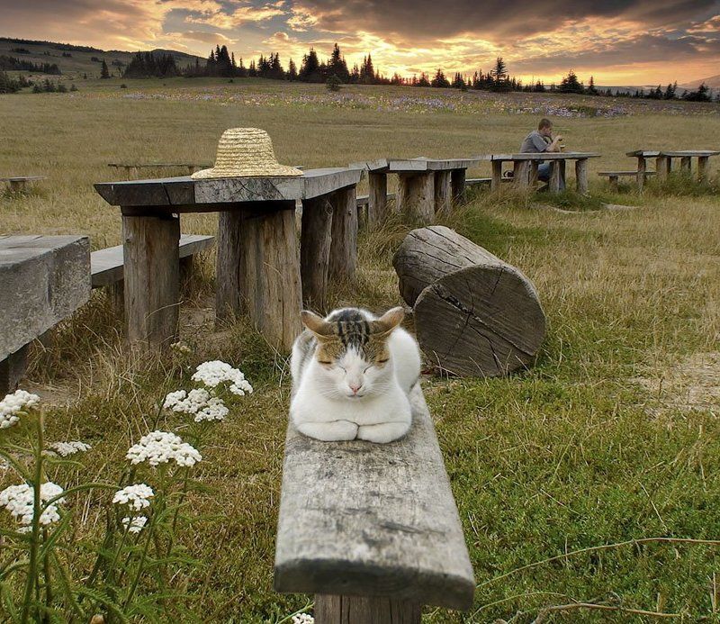 Вечерело фото превью