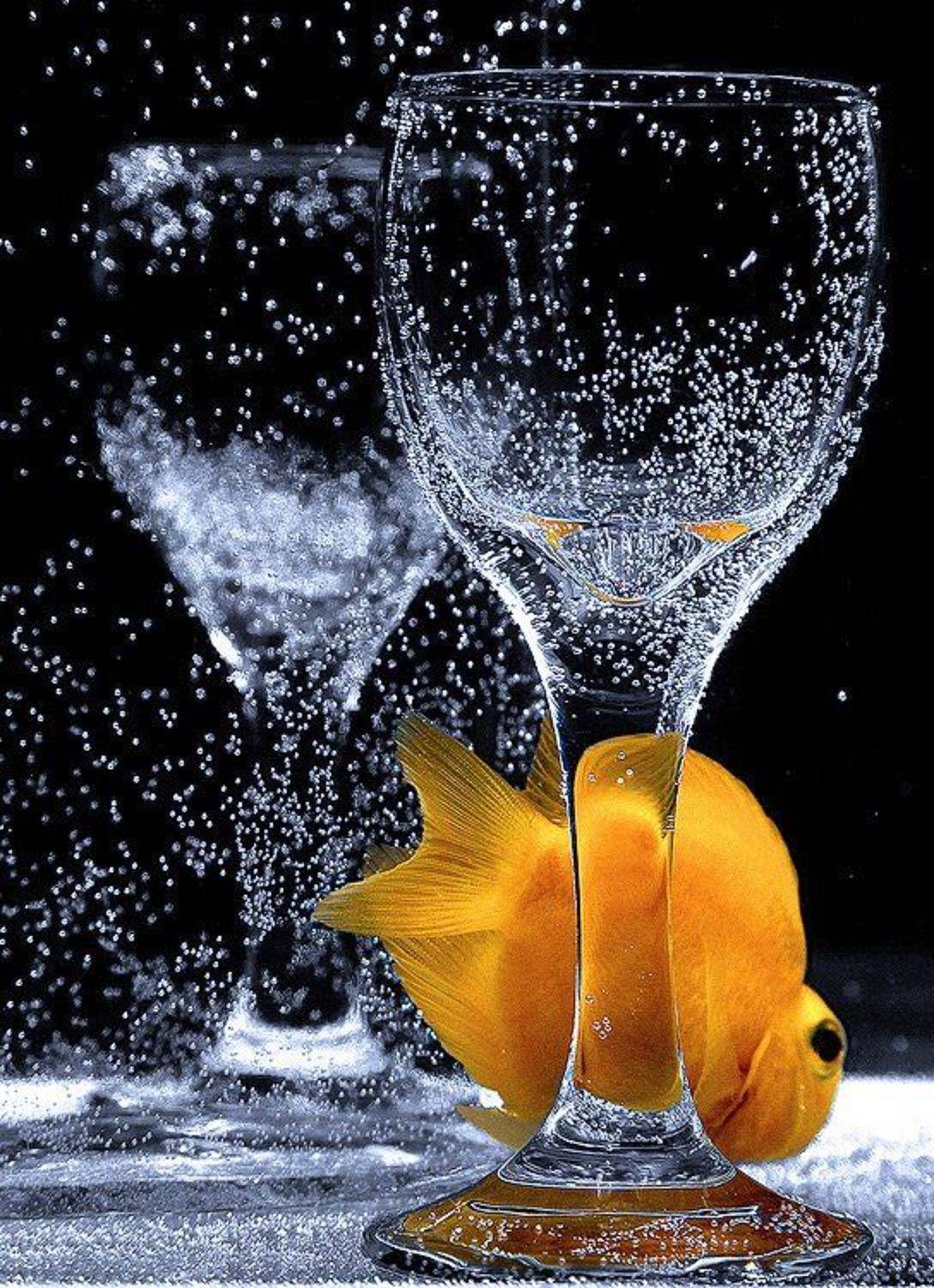 титаник, пассажир, tolyan139