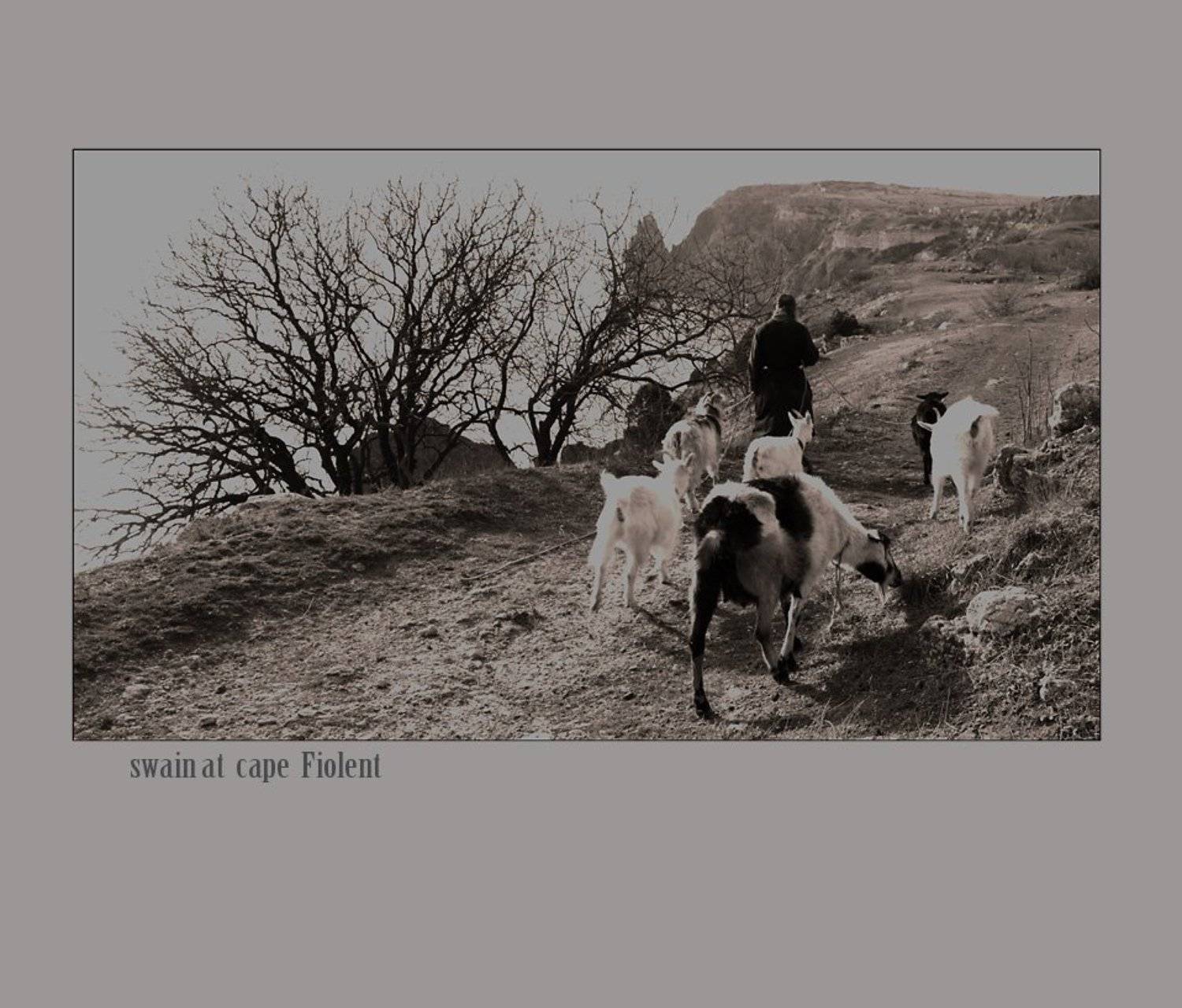 , Андрей  Золочевский