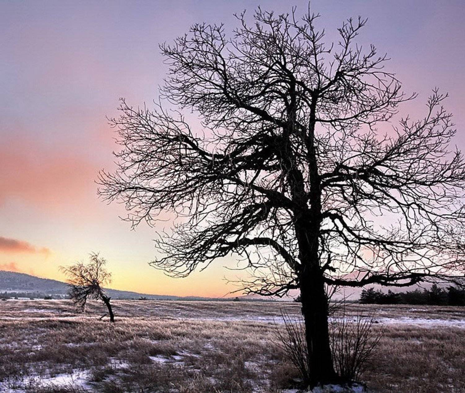 , Андрей  Золочевский