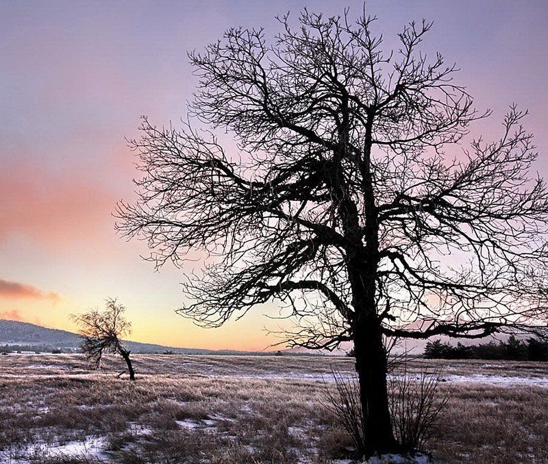 вечер на плато фото превью