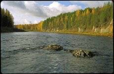 Autumn. Nostalgia