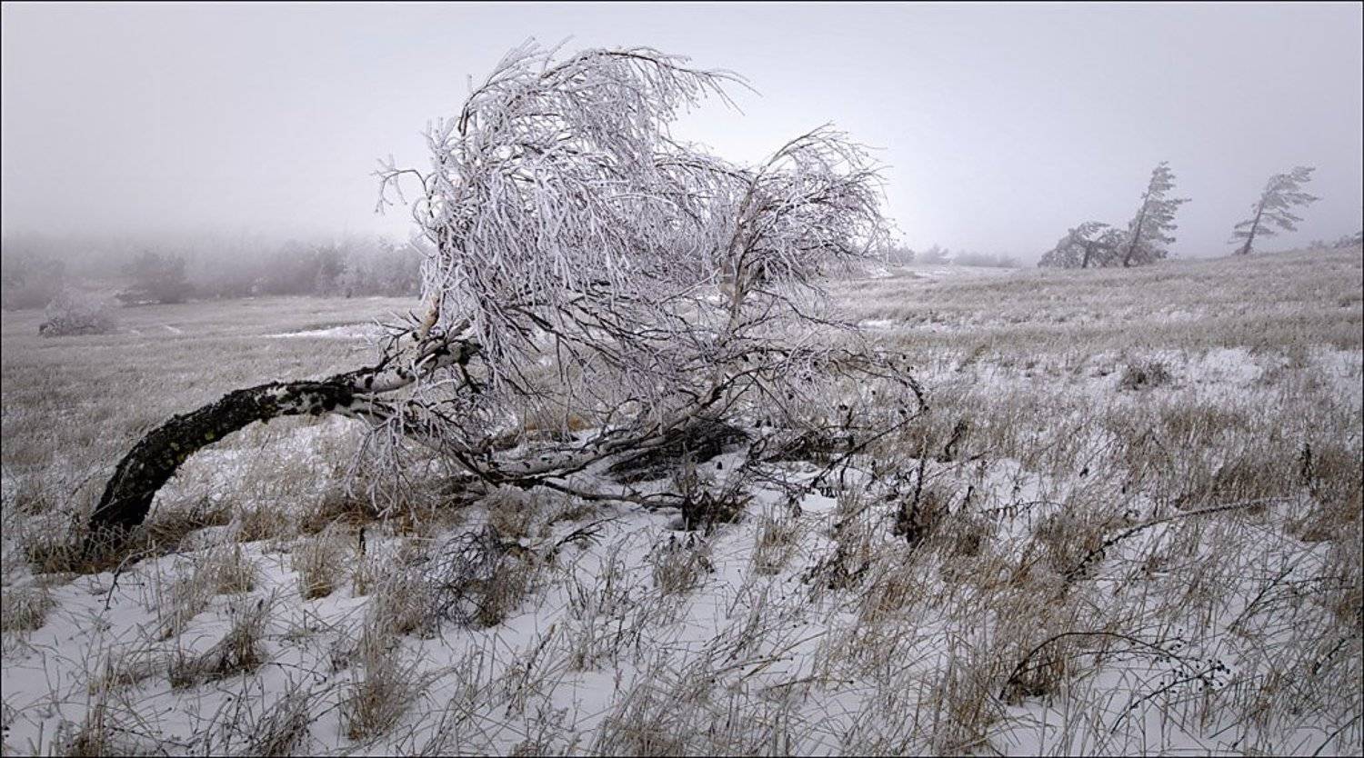 зима,холодно, Андрей  Золочевский