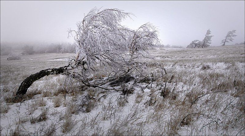 зима,холодно не прощенные-2 фото превью