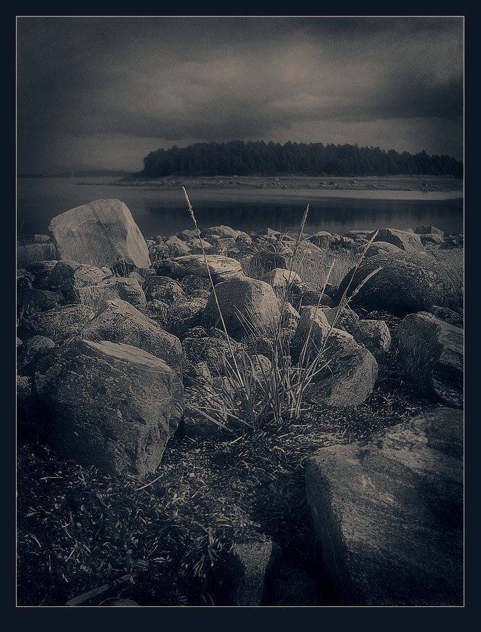 пейзаж, север, колвица, море, белое, камни, Александр Авилов