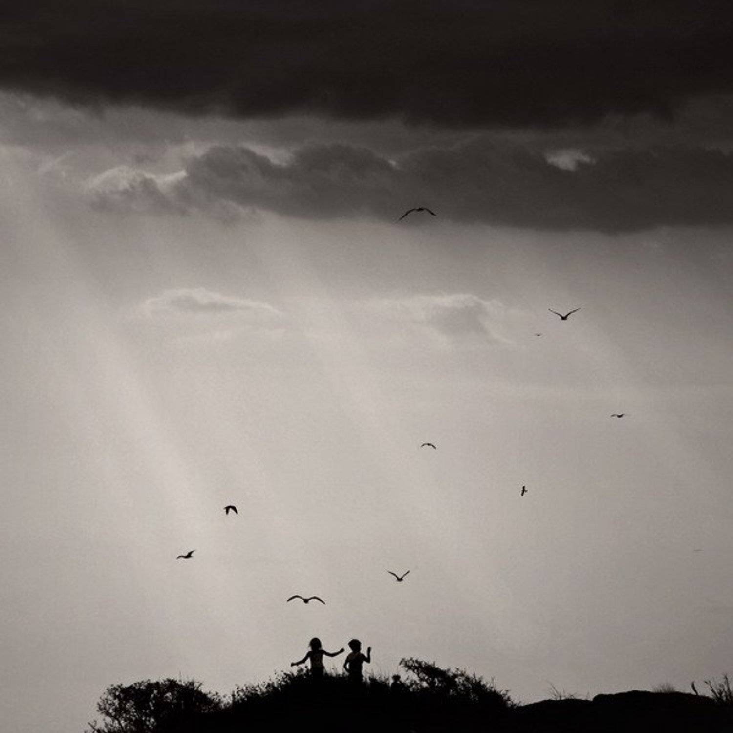 , Тарасова Катя