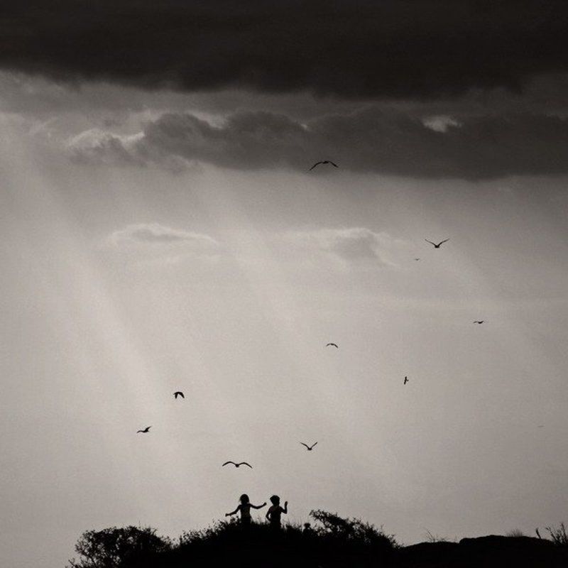 *** фото превью