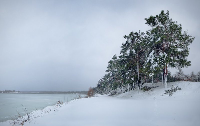 лес, зима, снег, панорама, озеро, жанр С Наступающим Новым Годом фото превью