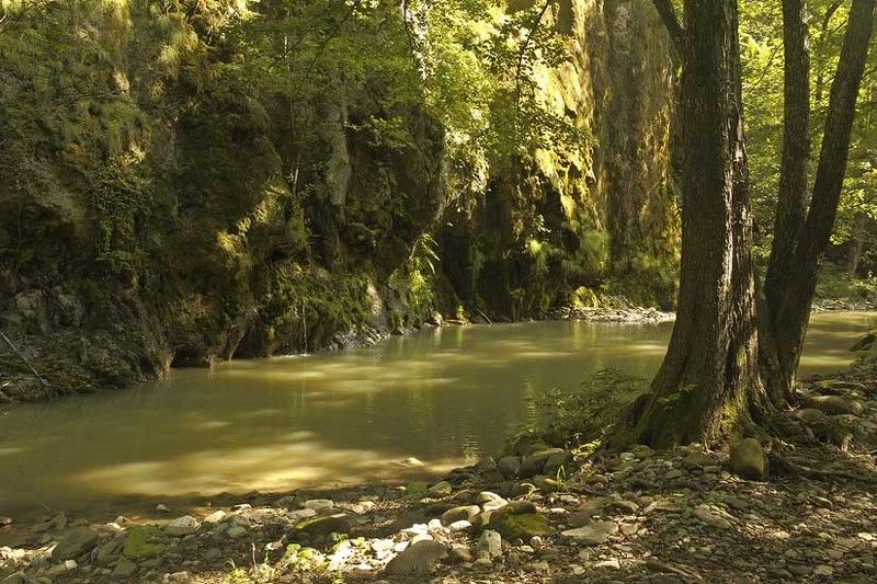 Краснодарский край. Река Пшада фото превью