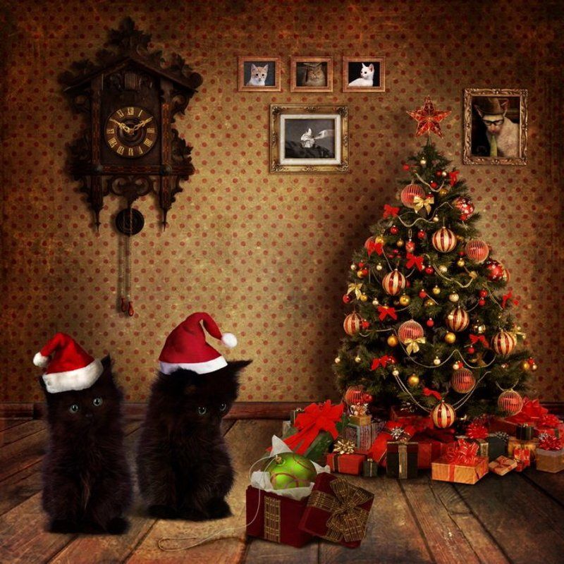 новый год, животные, юмор, коллаж, фотоманипуляции Почему на заленой елке красные игрушки? фото превью