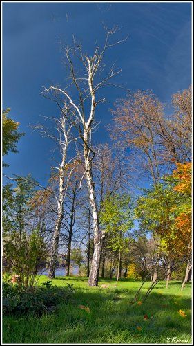 Встреча друзей