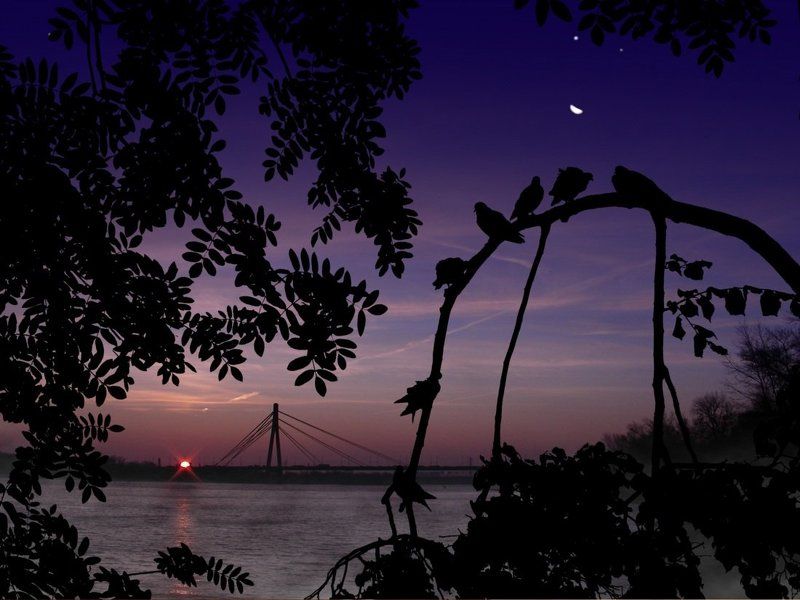 киев, рассвет Ты меня, на заре, разбуди... фото превью