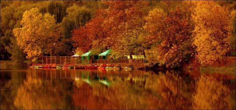 Осень фото превью