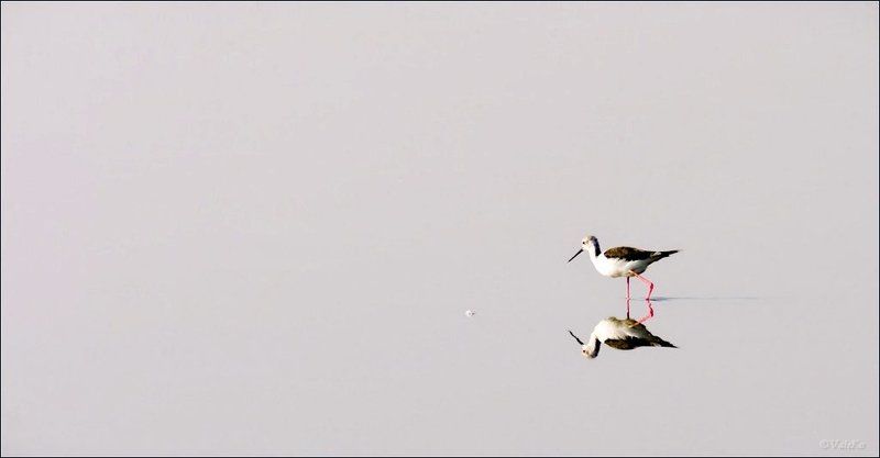 Наедине фото превью